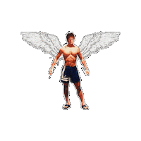 鳥 天使 Sticker by PHADS