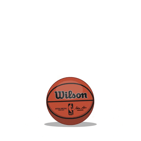 Basketball Nba GIF by SportsManias
