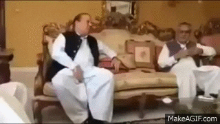 Pakistan minister GIF