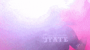 Baseball Hype GIF by NCAA Championships