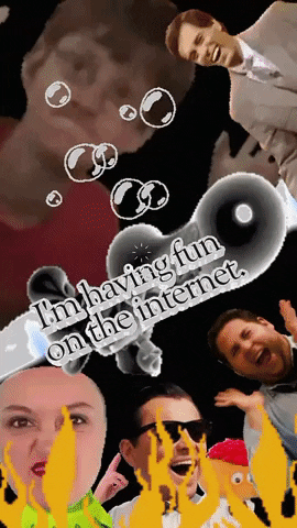 Fun Internet GIF by systaime