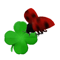 SAZKA money win luck los Sticker