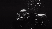 danieljohns beokagain GIF by What So Not