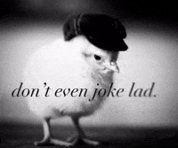 Dont Even Joke Lad GIF