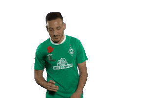 Kevin Möhwald Football Sticker by SV Werder Bremen