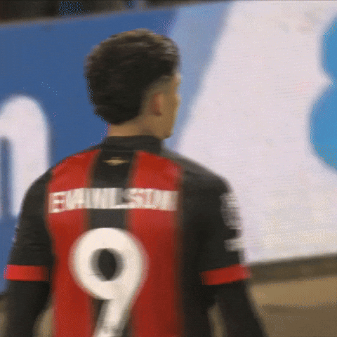 High Five Premier League GIF by AFC Bournemouth