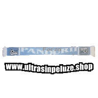 Forza Pandurii Sticker by UltrasInPeluze