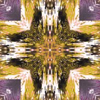 GIF by Leo Pyrata