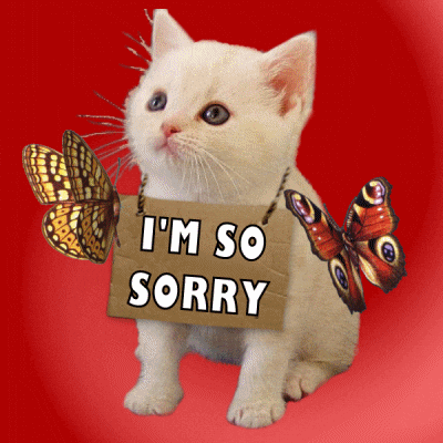Digital art gif. Large butterflies flap their wings on both sides of a doe-eyed white kitten. It wears a sign around its neck that says, "I'm sorry."