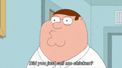 fox tv quahog GIF by Family Guy