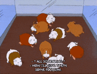 homer simpson GIF
