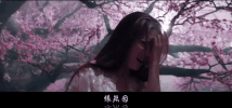 liu yi fei san sheng san shi shi li tao hua GIF