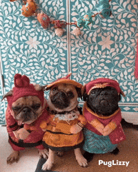 Chinese New Year Halloween GIF