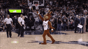 excited san antonio spurs GIF by NBA