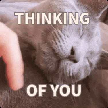 ekekeklunagarcia cats GIF