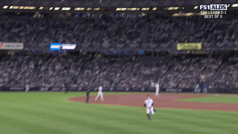 New York Yankees Sport GIF by MLB