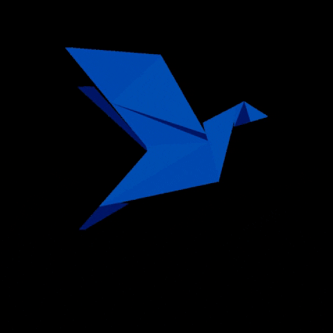 Aquizio giphygifmaker GIF