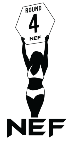 Mixed Martial Arts Mma Sticker by NEFights