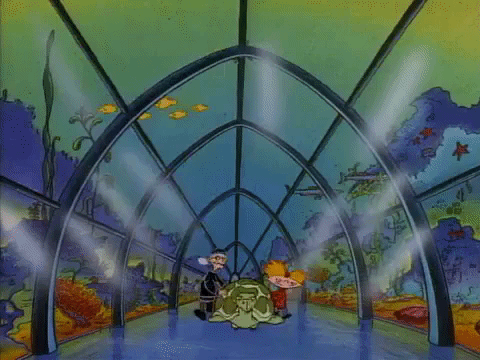 hey arnold nickelodeon GIF