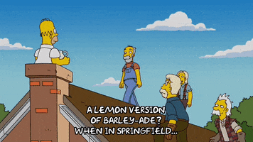 Season 20 Homer GIF by The Simpsons