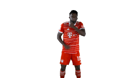 Happy Football Sticker by FC Bayern Munich