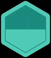 Molchanovs Freediving GIF by Molchanovs