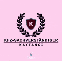 sv-kaytanci car crash auto kfz GIF