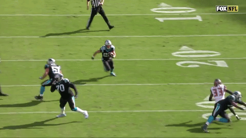 carolina panthers GIF