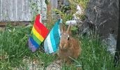 Rainbow Pride GIF by AceArchive
