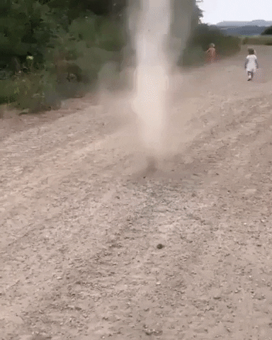 dog vs tornado GIF