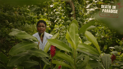 Hide Hiding GIF by Death In Paradise