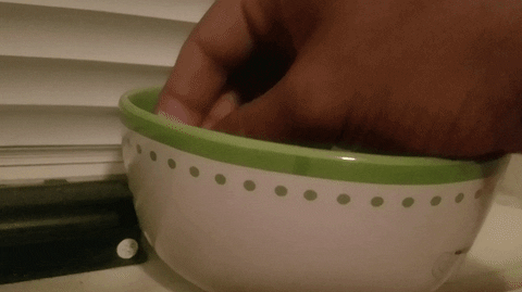 TheApocalypse giphyupload GIF