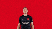 Hands Up Football GIF by SK Slavia Praha