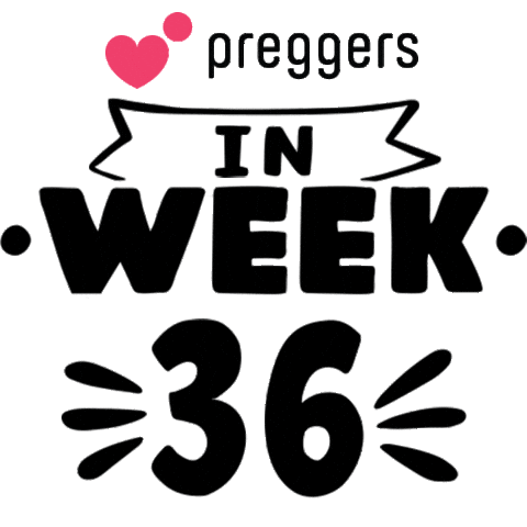 Pregnancy 36 Weeks Sticker by Preggers