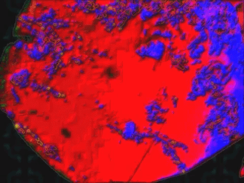 art space GIF by MFD