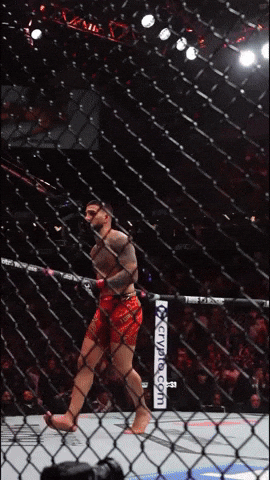 Ufc Mma GIF by Cyber Drive Drinks