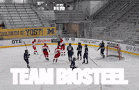 Goal Hockey GIF by BioSteel Sports
