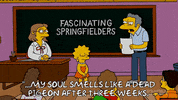 Lisa Simpson Episode 6 GIF by The Simpsons