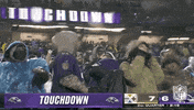 National Football League GIF by NFL