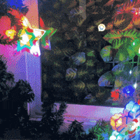 1811 GIF by Cómpralo en Casa