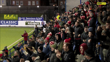 Red Army Fans GIF by Cliftonville Football Club