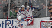 Ice Hockey Sport GIF by NHL