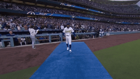 Los Angeles Dodgers Sport GIF by MLB