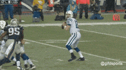 andrew luck GIF