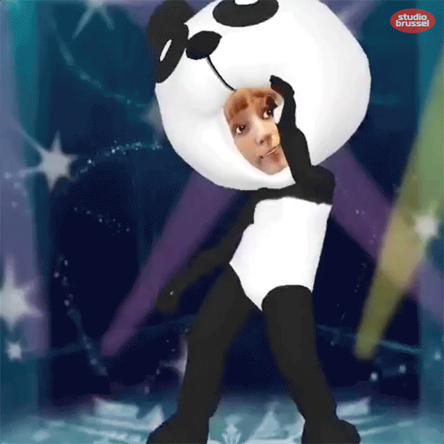 panda linde merckpoel GIF by Studio Brussel