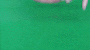 ExperimenMeatGrinder funny colorful meat underground GIF