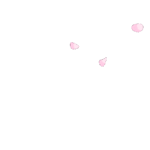 Cherry Blossom Love Sticker