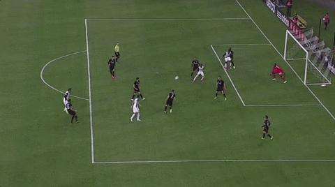 soccer mls GIF by D.C. United