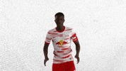 Weiter Lets Go GIF by RB Leipzig