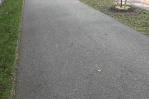 nmyron giphygifmaker GIF